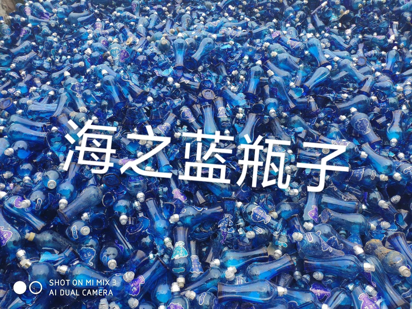 泉山区海之蓝瓶回收